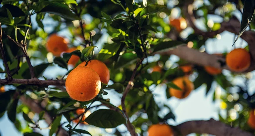 There are many variations of passages of Lorem Ipsum available, but majority have suffered teration in some form, by injected humour, or randomised words which don't look even slight believable. If you are going to use a passage of Lorem Ipsum.