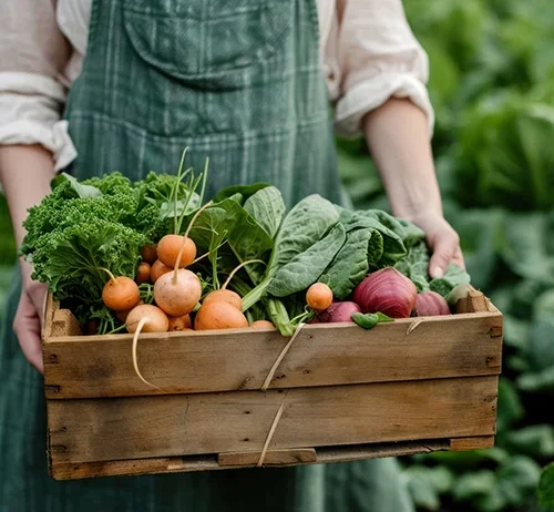 Empowering local growers to harvest healthy produce and promote a sustainable future.